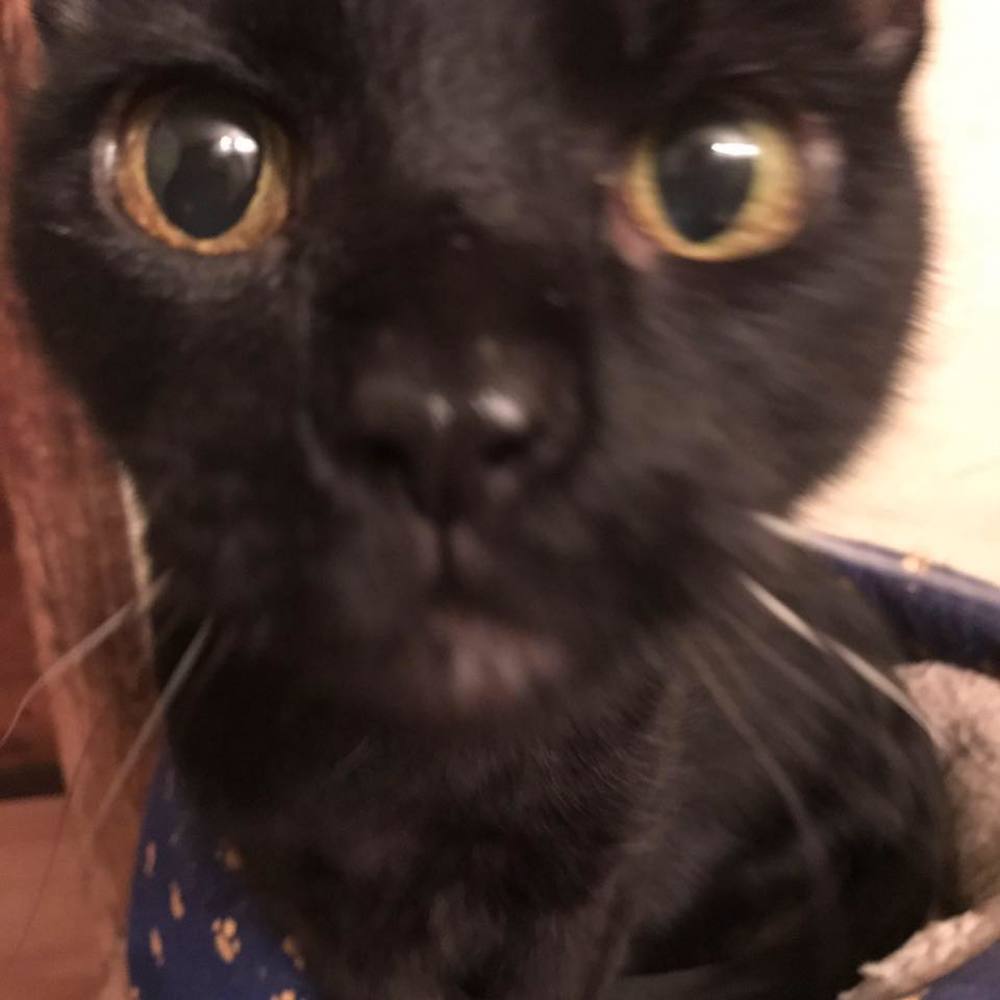 Meet your Posher, Roberta